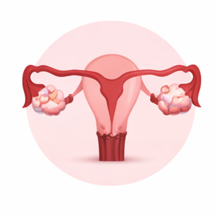 ChatGPT Image Feb 19, 2026, 10_51_45 PM_r2_c2_processed_by_imagy